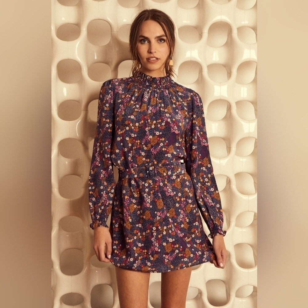 NWT Caballero Creed Dress In Peacock Garden Smocked Neck Mini Belt Dress Medium